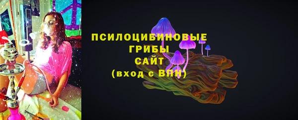 твердый Вяземский