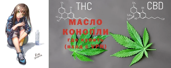 твердый Вяземский
