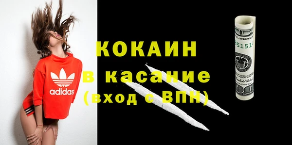твердый Вяземский