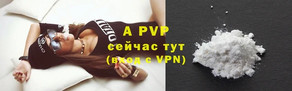 твердый Вяземский