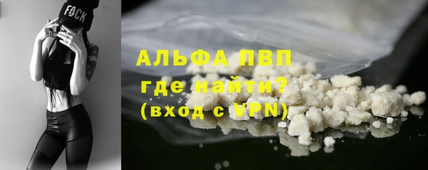 твердый Вяземский
