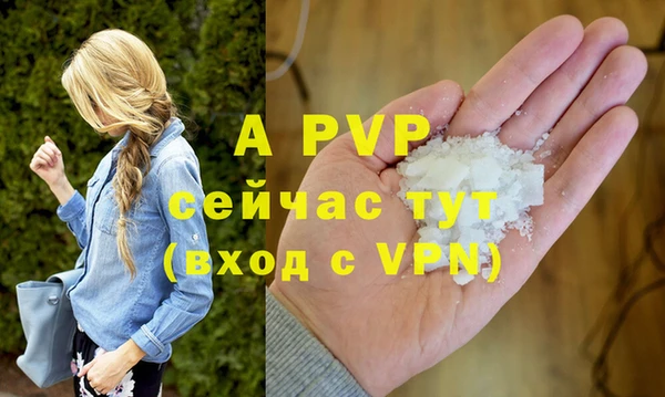 ГАЛЛЮЦИНОГЕННЫЕ ГРИБЫ Вязьма