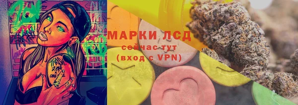 ГАЛЛЮЦИНОГЕННЫЕ ГРИБЫ Вязьма