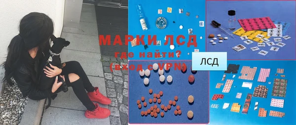 твердый Вяземский